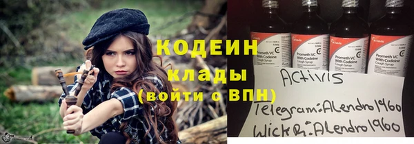 молекула духа Вязьма